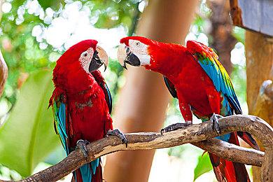 《自杀小队》画面很差？看看这些4K最高画质截图